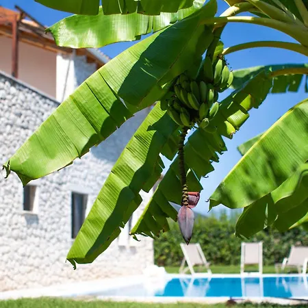 Avesta Private Villa